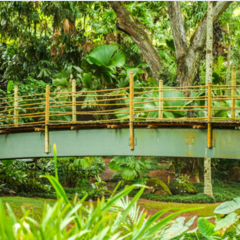 botanical-gardens